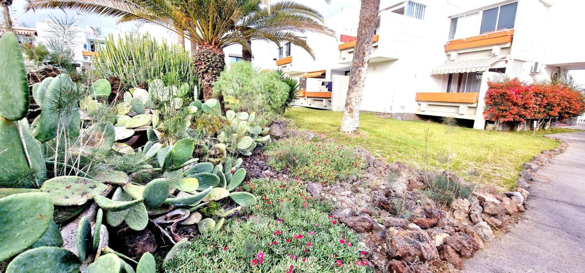 Apartment Casa Gabriel 1 Bedroom Wifi Free Pool Arona (Tenerife)